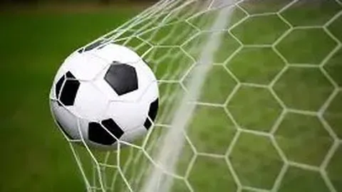 PP电子 资讯 134911 n4r