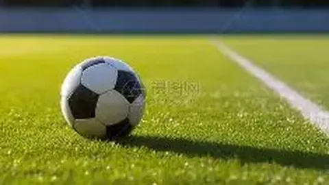 PP电子 资讯 135448 9rl