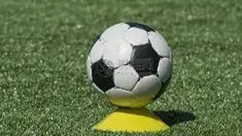 PP电子 产品 135457 u52